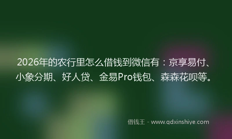 2026年的农行里怎么借钱到微信有：京享易付、小象分期、好人贷、金易Pro钱包、森森花呗等。