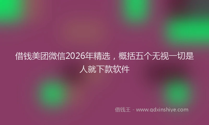 借钱美团微信2026年精选，概括五个无视一切是人就下款软件