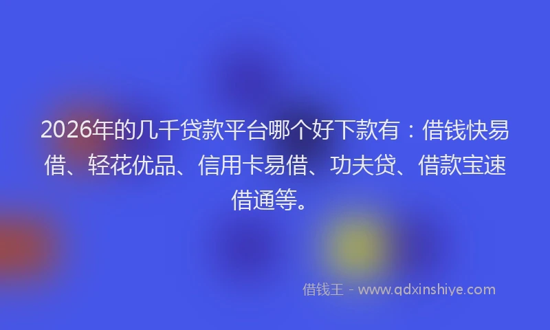 2026年的几千贷款平台哪个好下款有：借钱快易借、轻花优品、信用卡易借、功夫贷、借款宝速借通等。