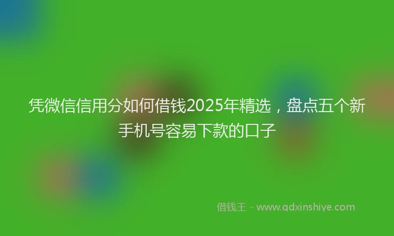 凭微信信用分如何借钱2025年精选，盘点五个新手机号容易下款的口子