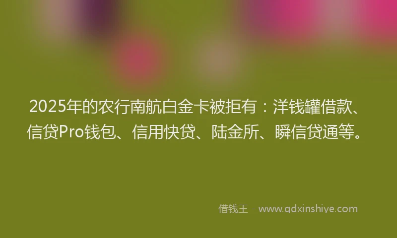 2025年的农行南航白金卡被拒有：洋钱罐借款、信贷Pro钱包、信用快贷、陆金所、瞬信贷通等。
