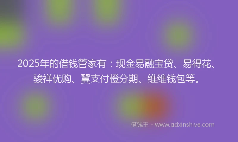 2025年的借钱管家有：现金易融宝贷、易得花、骏祥优购、翼支付橙分期、维维钱包等。