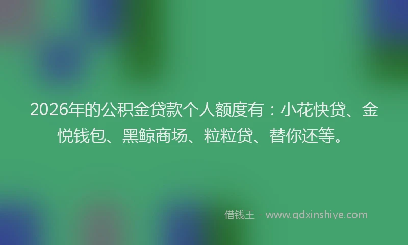 2026年的公积金贷款个人额度有：小花快贷、金悦钱包、黑鲸商场、粒粒贷、替你还等。