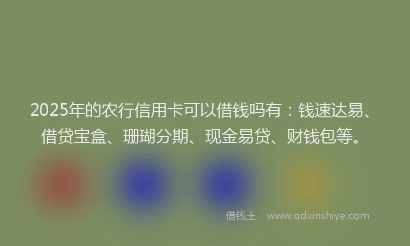 2025年的农行信用卡可以借钱吗有：钱速达易、借贷宝盒、珊瑚分期、现金易贷、财钱包等。