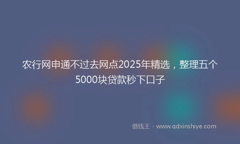农行网申通不过去网点2025年精选，整理五个5000块贷款秒下口子
