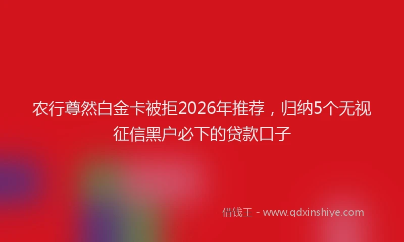 农行尊然白金卡被拒2026年推荐，归纳5个无视征信黑户必下的贷款口子