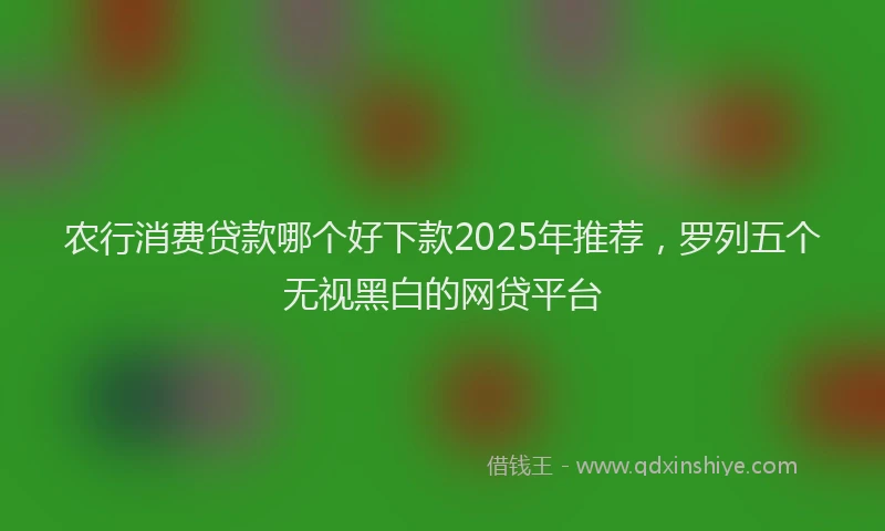农行消费贷款哪个好下款2025年推荐，罗列五个无视黑白的网贷平台
