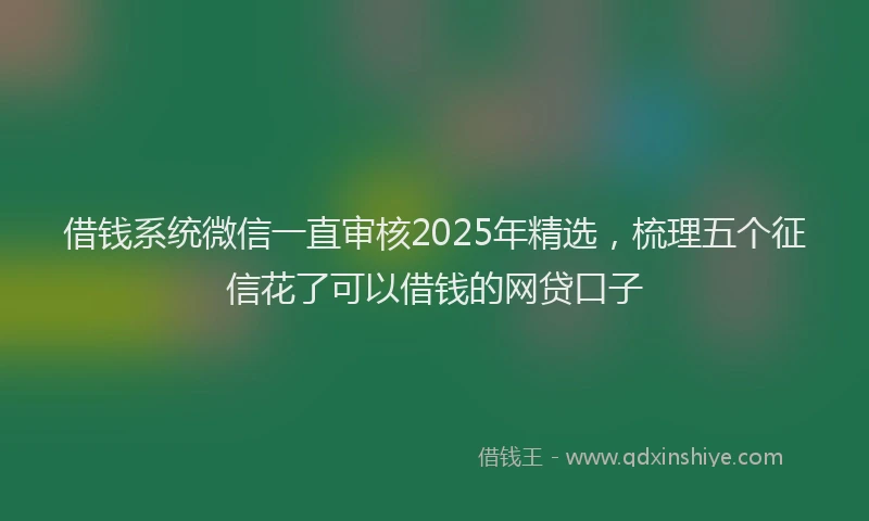 借钱系统微信一直审核2025年精选，梳理五个征信花了可以借钱的网贷口子
