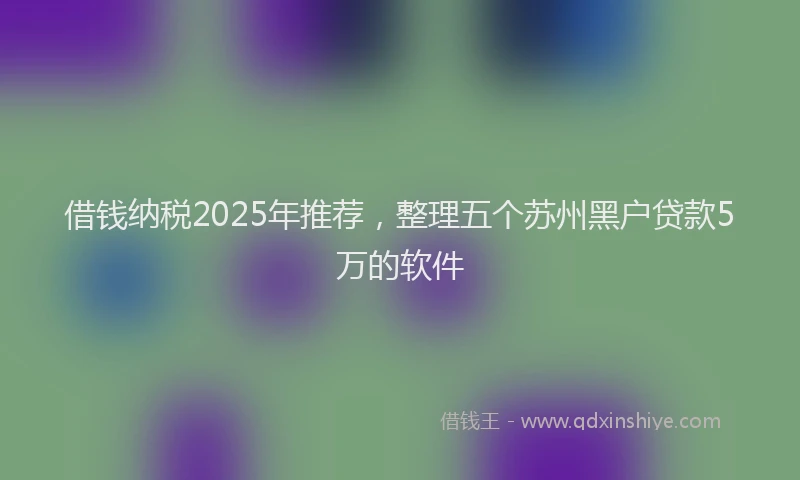 借钱纳税2025年推荐，整理五个苏州黑户贷款5万的软件