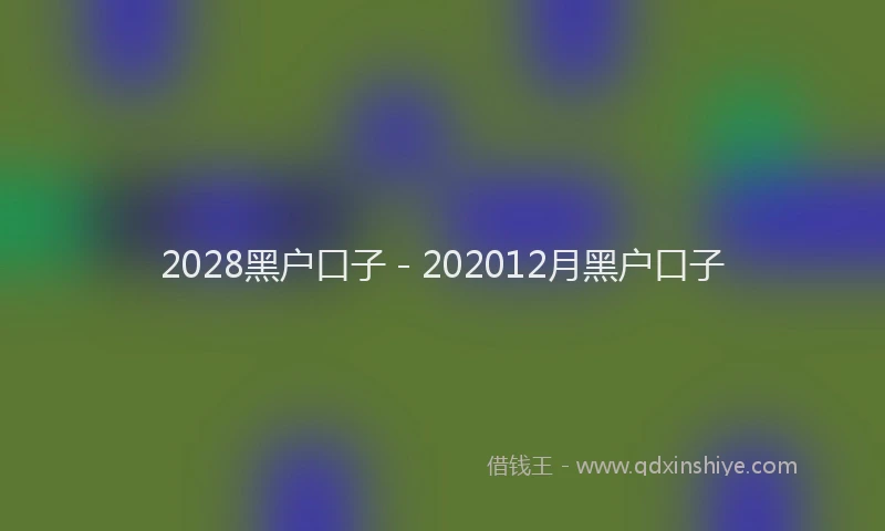 2028黑户口子 - 202012月黑户口子
