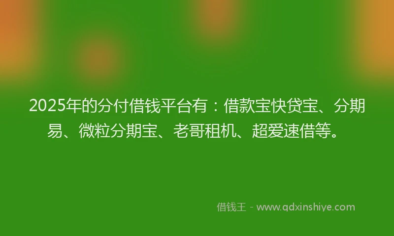2025年的分付借钱平台有:借款宝快贷宝、分期易、微粒分期宝、老哥租机、超爱速借等。