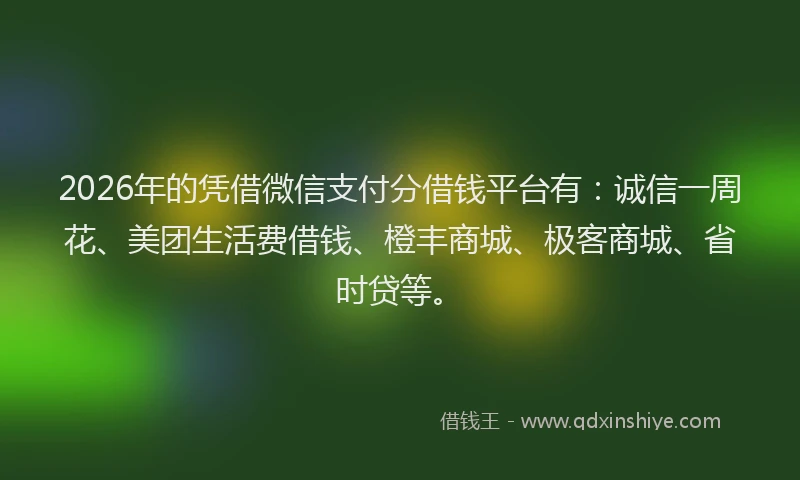 2026年的凭借微信支付分借钱平台有：诚信一周花、美团生活费借钱、橙丰商城、极客商城、省时贷等。