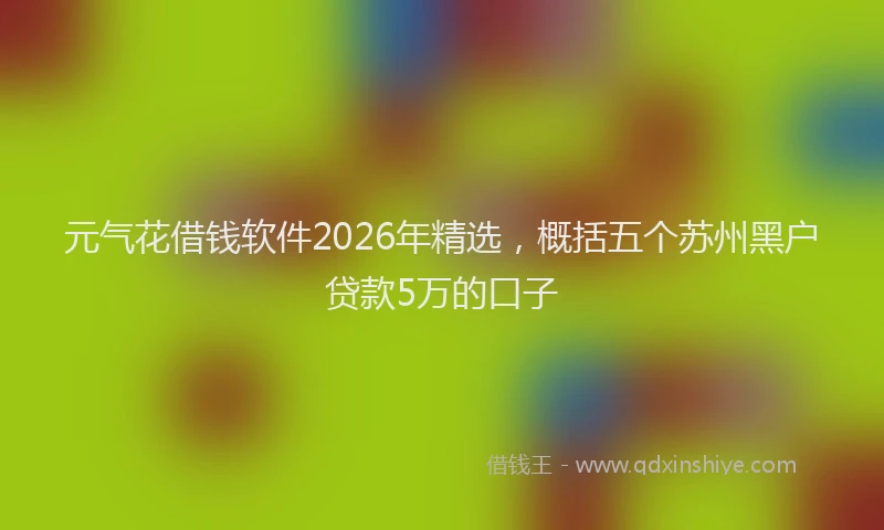 元气花借钱软件2026年精选，概括五个苏州黑户贷款5万的口子