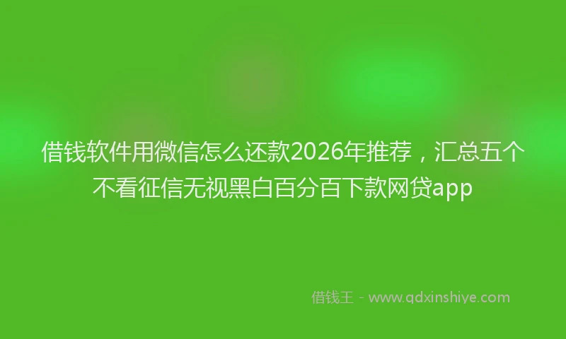 借钱软件用微信怎么还款2026年推荐，汇总五个不看征信无视黑白百分百下款网贷app