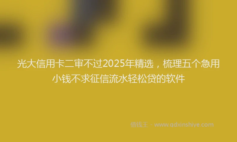 光大信用卡二审不过2025年精选，梳理五个急用小钱不求征信流水轻松贷的软件