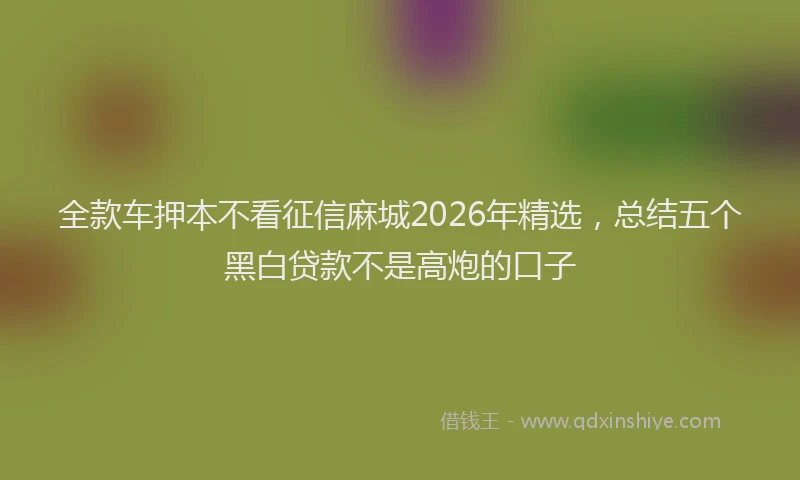 全款车押本不看征信麻城2026年精选，总结五个黑白贷款不是高炮的口子