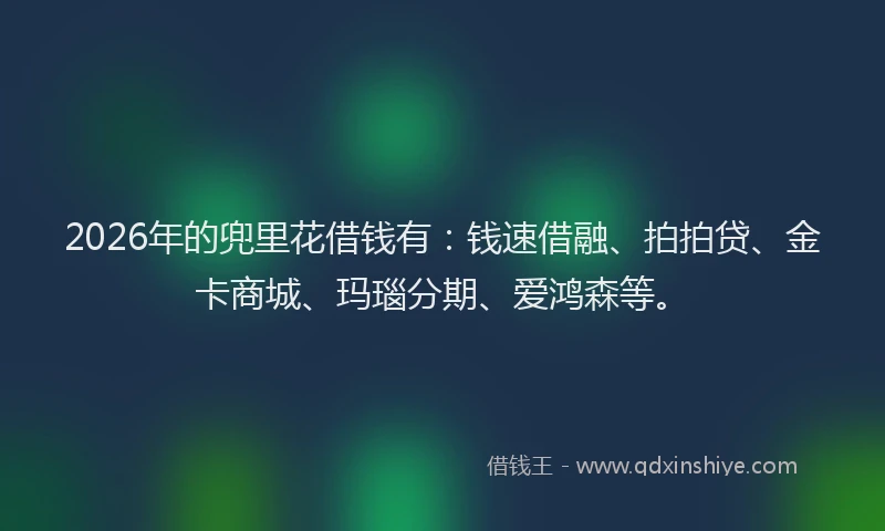 2026年的兜里花借钱有：钱速借融、拍拍贷、金卡商城、玛瑙分期、爱鸿森等。