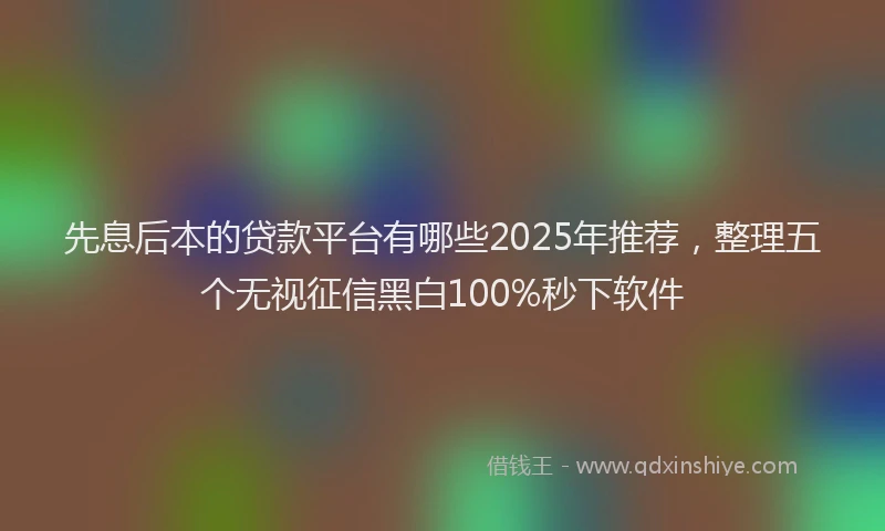 先息后本的贷款平台有哪些2025年推荐,整理五个无视征信黑白100%秒下软件