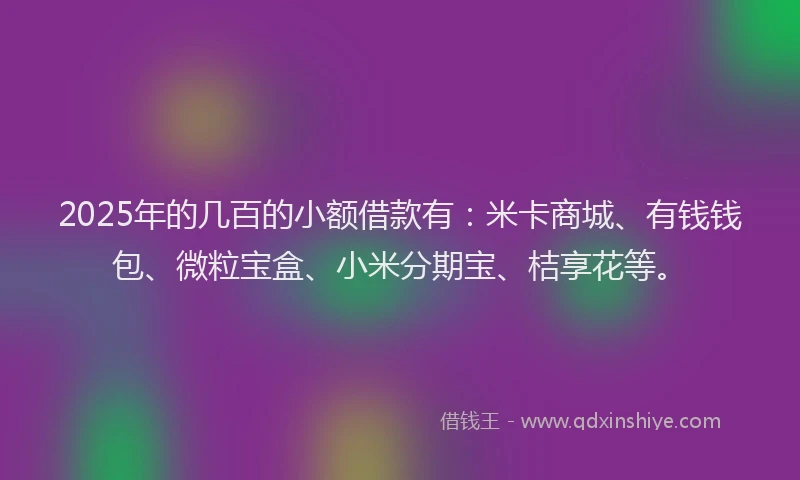 2025年的几百的小额借款有：米卡商城、有钱钱包、微粒宝盒、小米分期宝、桔享花等。