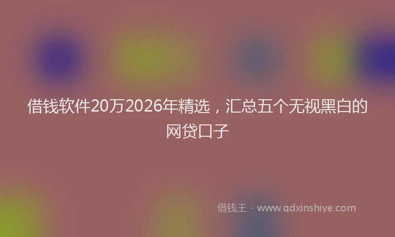 借钱软件20万2026年精选，汇总五个无视黑白的网贷口子