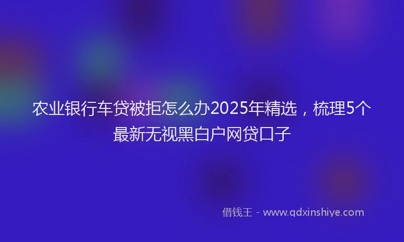 农业银行车贷被拒怎么办2025年精选，梳理5个最新无视黑白户网贷口子
