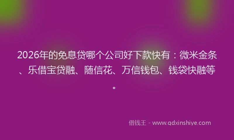 2026年的免息贷哪个公司好下款快有:微米金条、乐借宝贷融、随信花、万信钱包、钱袋快融等。