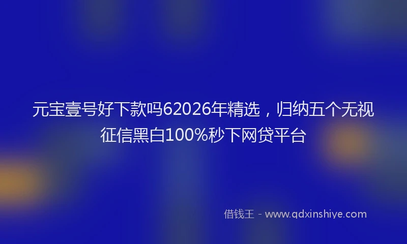 元宝壹号好下款吗62026年精选，归纳五个无视征信黑白100%秒下网贷平台