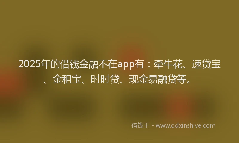 2025年的借钱金融不在app有：牵牛花、速贷宝、金租宝、时时贷、现金易融贷等。
