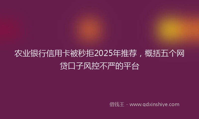 农业银行信用卡被秒拒2025年推荐，概括五个网贷口子风控不严的平台