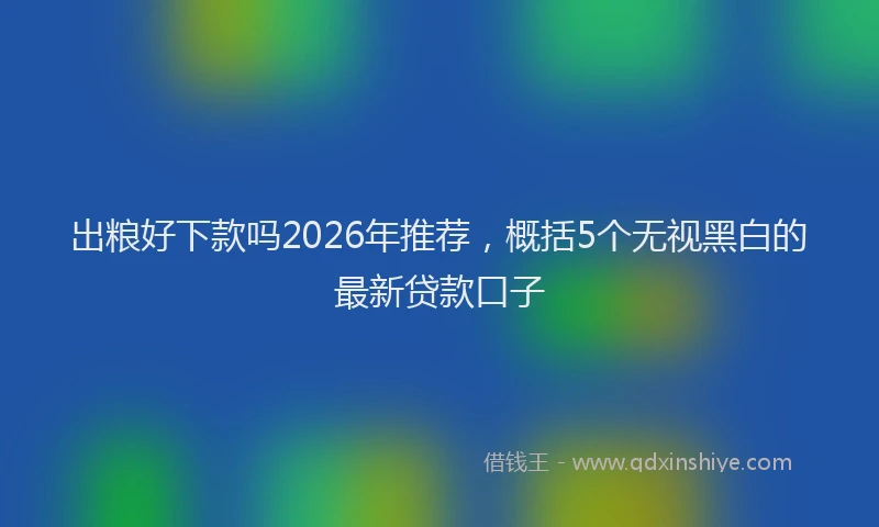 出粮好下款吗2026年推荐，概括5个无视黑白的最新贷款口子