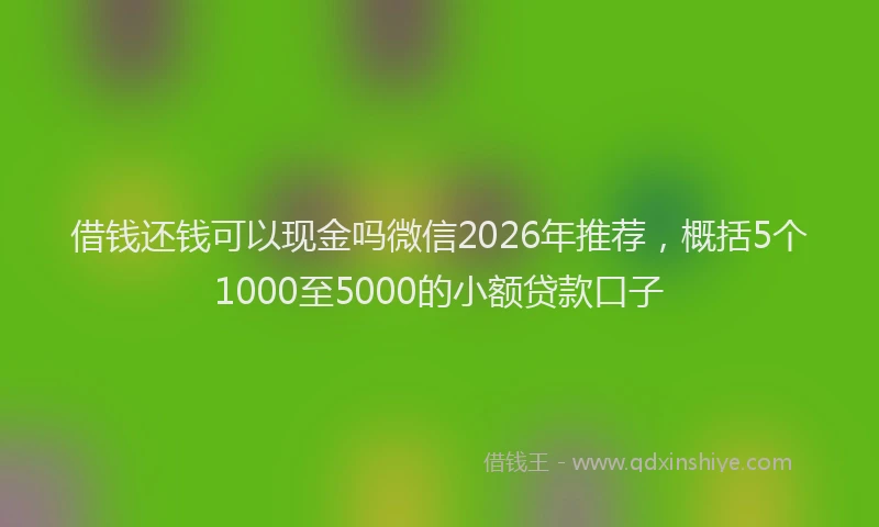 借钱还钱可以现金吗微信2026年推荐，概括5个1000至5000的小额贷款口子