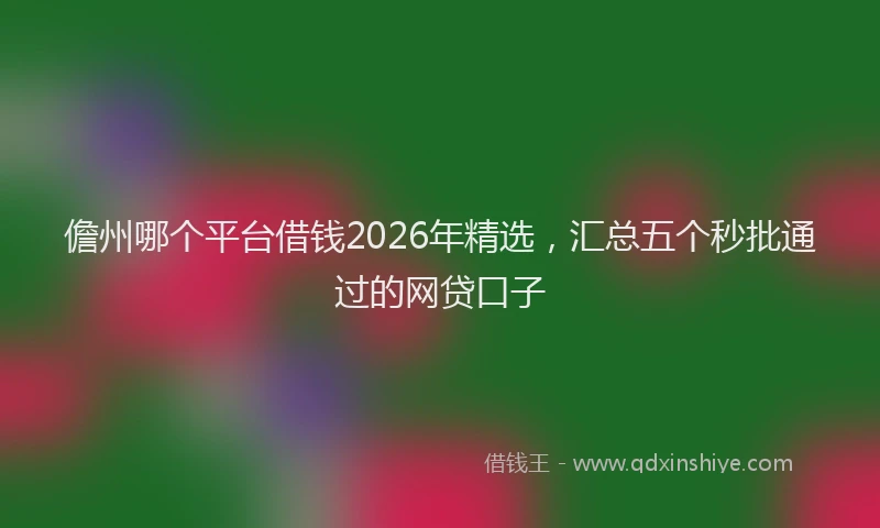 儋州哪个平台借钱2026年精选，汇总五个秒批通过的网贷口子