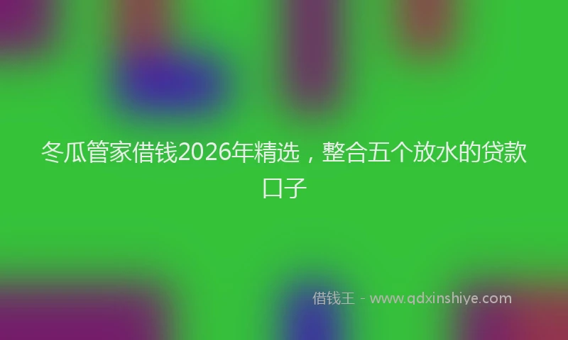 冬瓜管家借钱2026年精选，整合五个放水的贷款口子