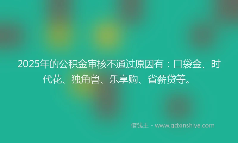 2025年的公积金审核不通过原因有：口袋金、时代花、独角兽、乐享购、省薪贷等。