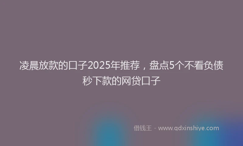 凌晨放款的口子2025年推荐，盘点5个不看负债秒下款的网贷口子
