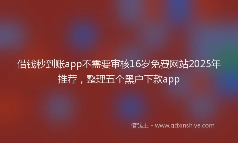 借钱秒到账app不需要审核16岁免费网站2025年推荐,整理五个黑户下款app