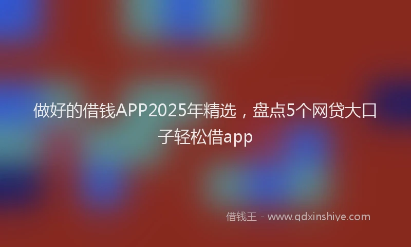 做好的借钱APP2025年精选，盘点5个网贷大口子轻松借app