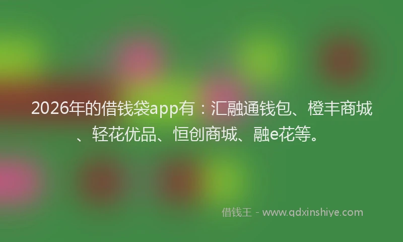 2026年的借钱袋app有:汇融通钱包、橙丰商城、轻花优品、恒创商城、融e花等。