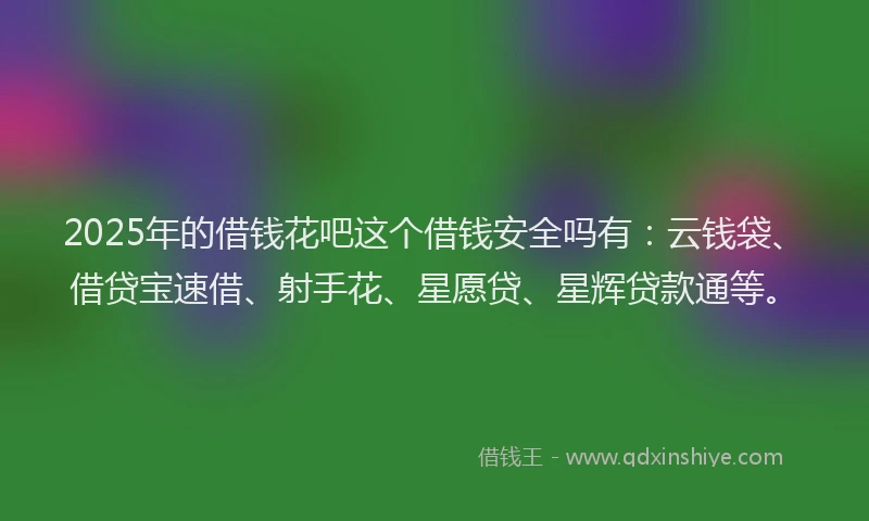 2025年的借钱花吧这个借钱安全吗有：云钱袋、借贷宝速借、射手花、星愿贷、星辉贷款通等。