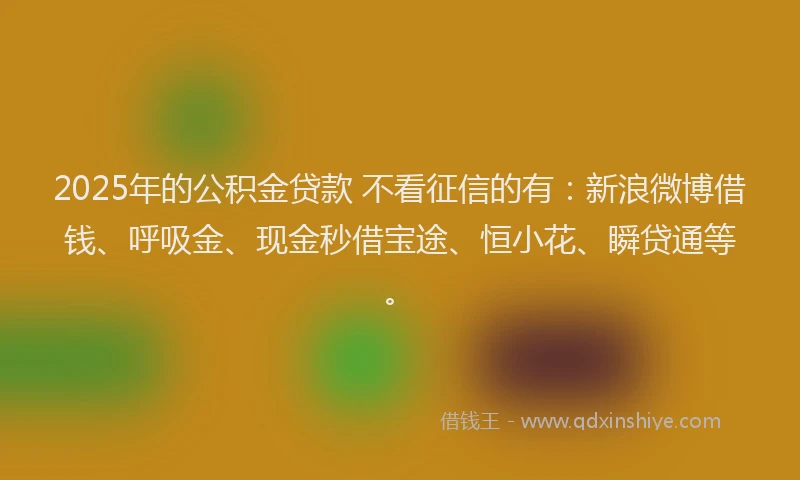 2025年的公积金贷款 不看征信的有：新浪微博借钱、呼吸金、现金秒借宝途、恒小花、瞬贷通等。