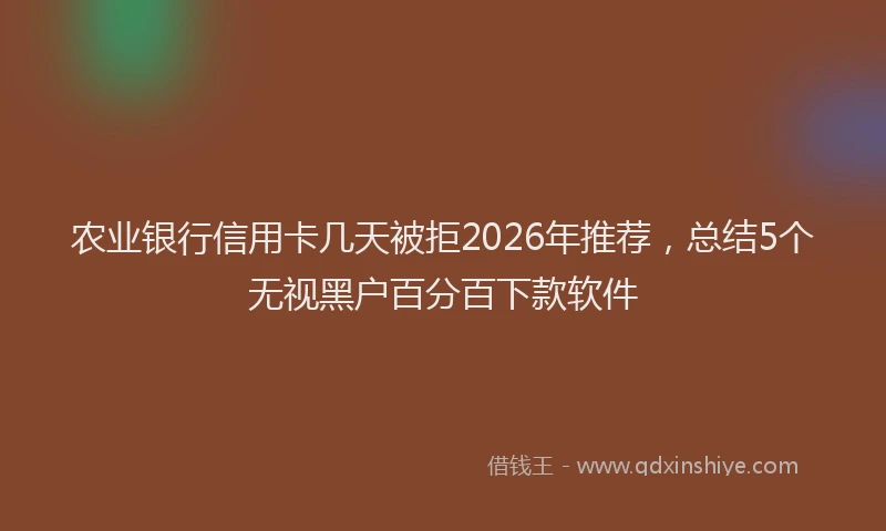 农业银行信用卡几天被拒2026年推荐，总结5个无视黑户百分百下款软件