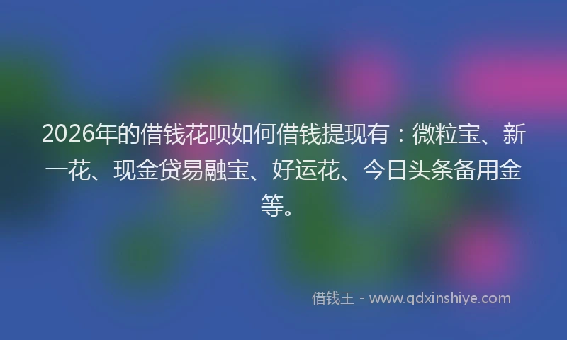 2026年的借钱花呗如何借钱提现有：微粒宝、新一花、现金贷易融宝、好运花、今日头条备用金等。