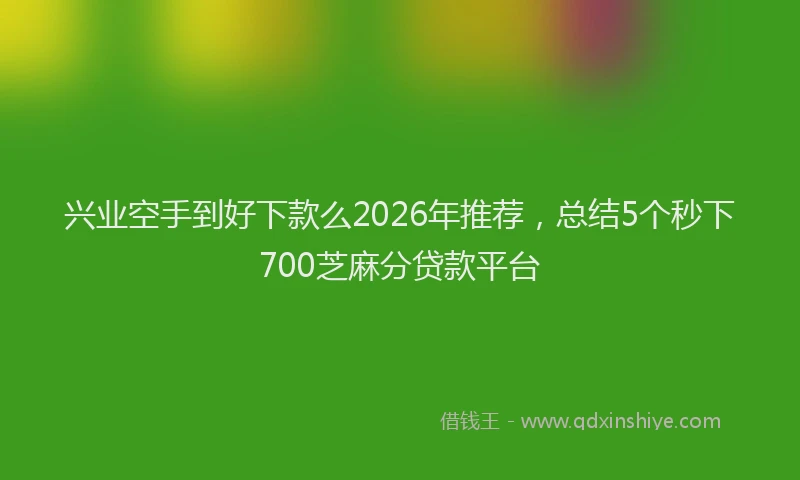 兴业空手到好下款么2026年推荐,总结5个秒下700芝麻分贷款平台
