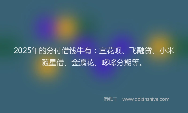 2025年的分付借钱牛有：宜花呗、飞融贷、小米随星借、金瀛花、哆哆分期等。