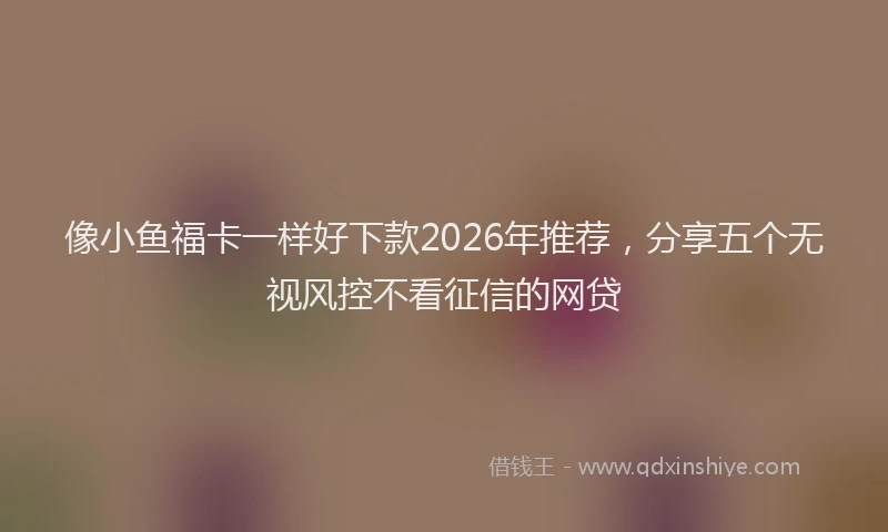 像小鱼福卡一样好下款2026年推荐，分享五个无视风控不看征信的网贷