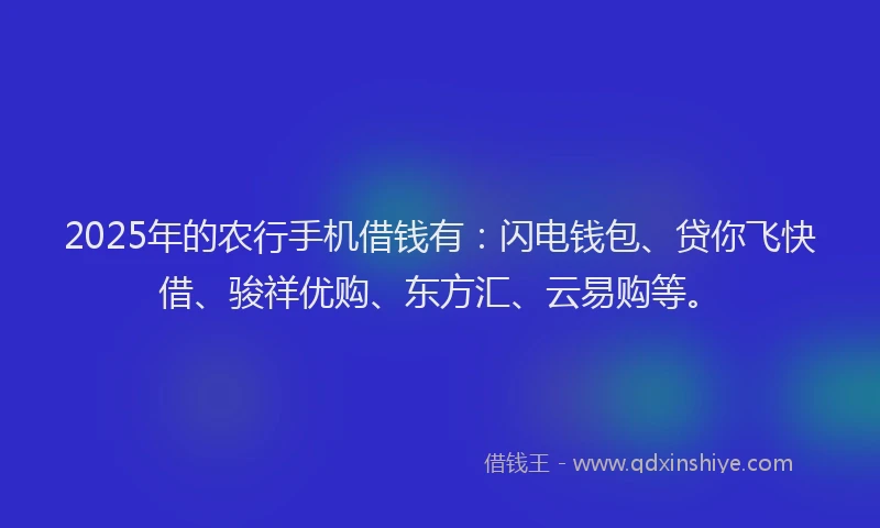 2025年的农行手机借钱有:闪电钱包、贷你飞快借、骏祥优购、东方汇、云易购等。