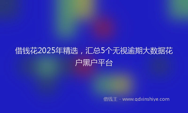 借钱花2025年精选，汇总5个无视逾期大数据花户黑户平台