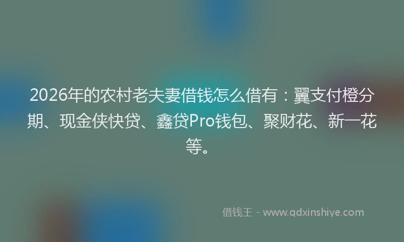 2026年的农村老夫妻借钱怎么借有：翼支付橙分期、现金侠快贷、鑫贷Pro钱包、聚财花、新一花等。