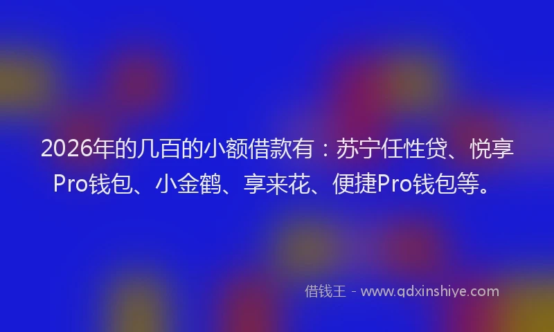 2026年的几百的小额借款有：苏宁任性贷、悦享Pro钱包、小金鹤、享来花、便捷Pro钱包等。