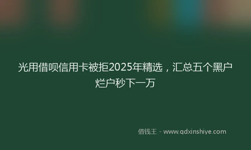 光用借呗信用卡被拒2025年精选,汇总五个黑户烂户秒下一万